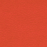 arancio-7619