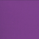 viola-5