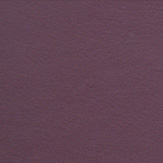 viola-7857